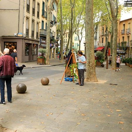 Ferienwohnung La Cigogne Céret Exterior foto