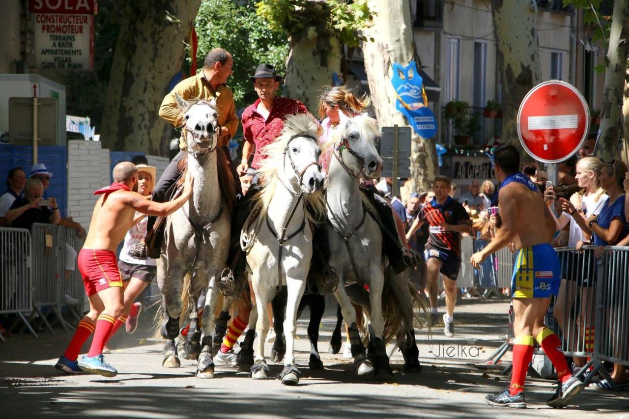 Ferienwohnung La Cigogne Céret Exterior foto