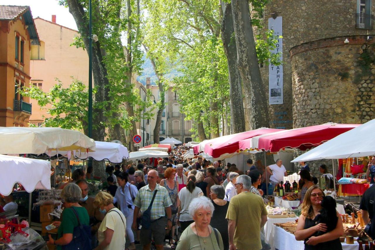 Ferienwohnung La Cigogne Céret Exterior foto