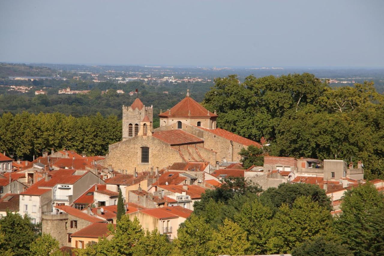 Ferienwohnung La Cigogne Céret Exterior foto