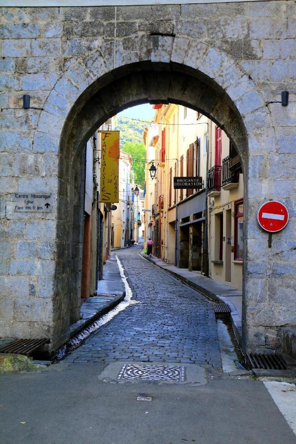 Ferienwohnung La Cigogne Céret Exterior foto