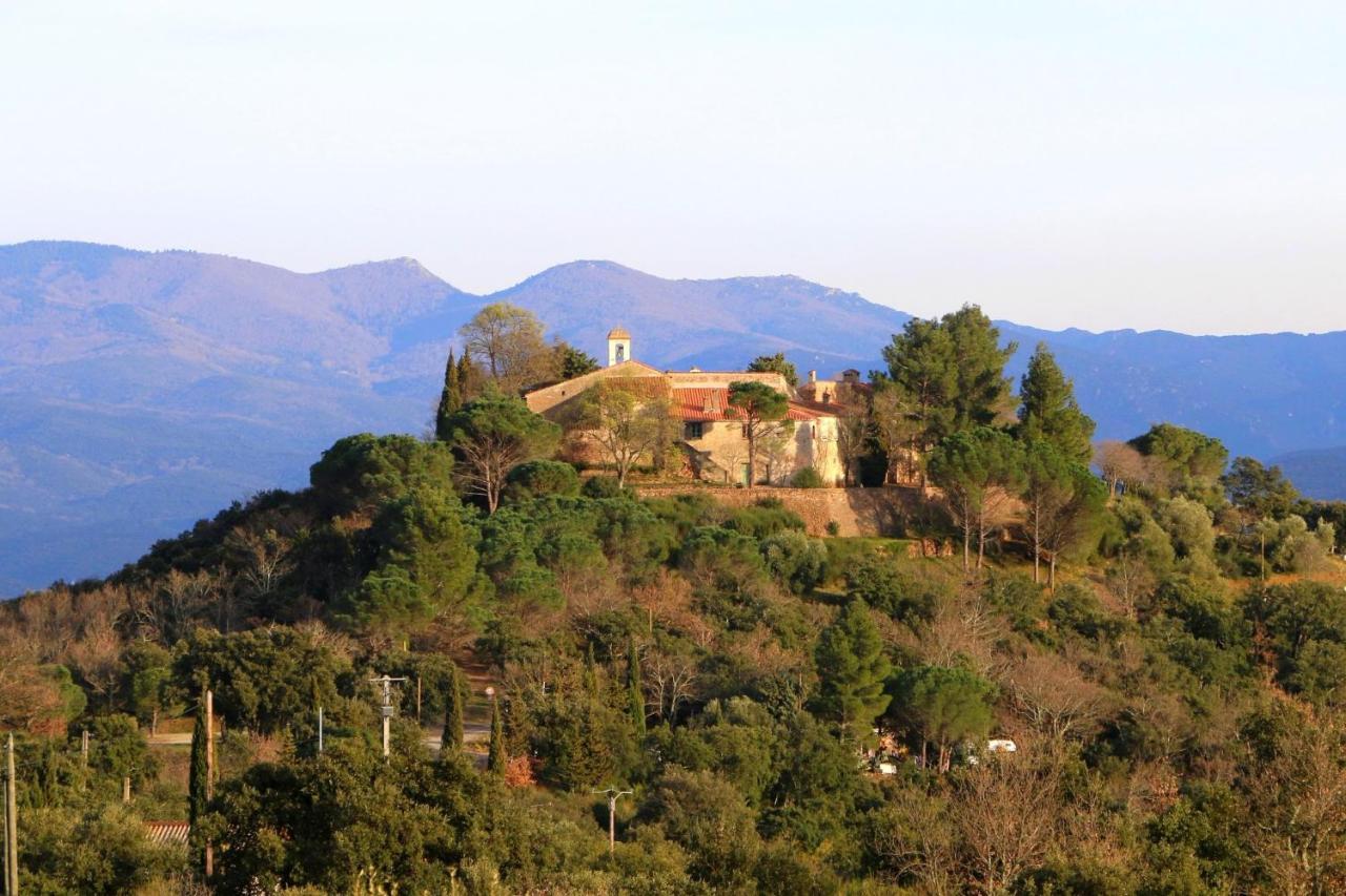 Ferienwohnung La Cigogne Céret Exterior foto